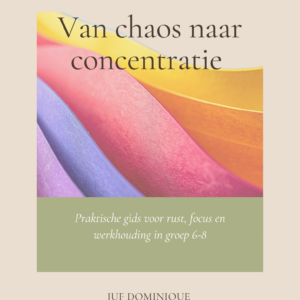E-book 'van Chaos naar Concentratie'
